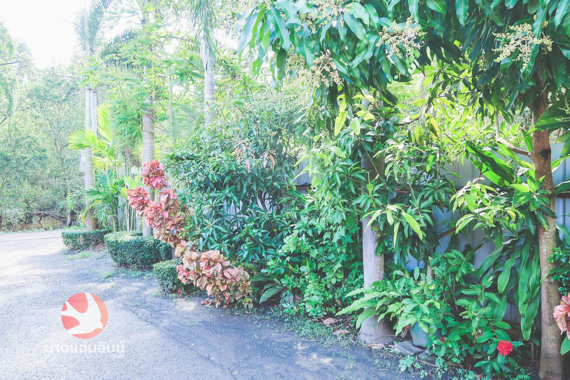 Nang-An Inn Resort Surat Thani Exterior foto